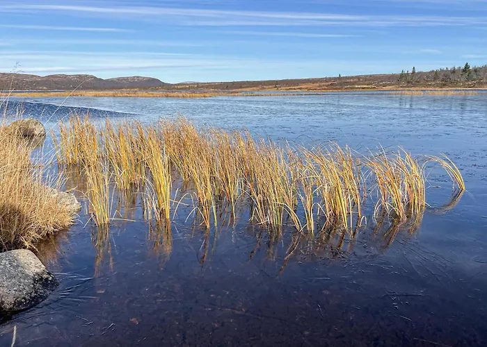 Дом отдыха Awesome In With Sauna