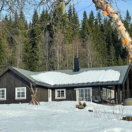 Awesome In With Sauna Trysil